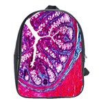 Histology Inc Histo Logistics Incorporated Masson s Trichrome Three Colour Staining School Bag (Large) Front