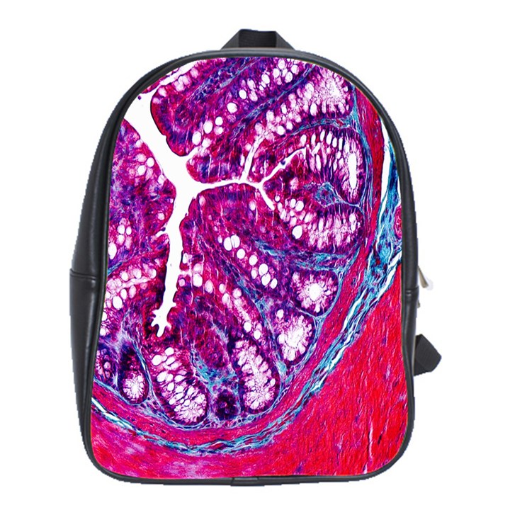 Histology Inc Histo Logistics Incorporated Masson s Trichrome Three Colour Staining School Bag (Large)