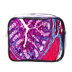 Histology Inc Histo Logistics Incorporated Masson s Trichrome Three Colour Staining Mini Toiletries Bags