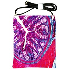 Histology Inc Histo Logistics Incorporated Masson s Trichrome Three Colour Staining Shoulder Sling Bags by Mariart