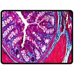 Histology Inc Histo Logistics Incorporated Masson s Trichrome Three Colour Staining Fleece Blanket (large)  by Mariart