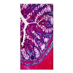 Histology Inc Histo Logistics Incorporated Masson s Trichrome Three Colour Staining Shower Curtain 36  X 72  (stall)  by Mariart