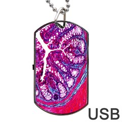 Histology Inc Histo Logistics Incorporated Masson s Trichrome Three Colour Staining Dog Tag Usb Flash (two Sides) by Mariart