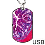 Histology Inc Histo Logistics Incorporated Masson s Trichrome Three Colour Staining Dog Tag USB Flash (Two Sides) Front