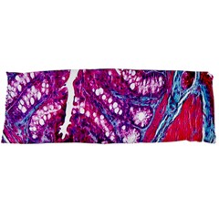 Histology Inc Histo Logistics Incorporated Masson s Trichrome Three Colour Staining Body Pillow Case Dakimakura (two Sides) by Mariart