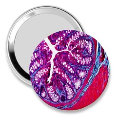 Histology Inc Histo Logistics Incorporated Masson s Trichrome Three Colour Staining 3  Handbag Mirrors