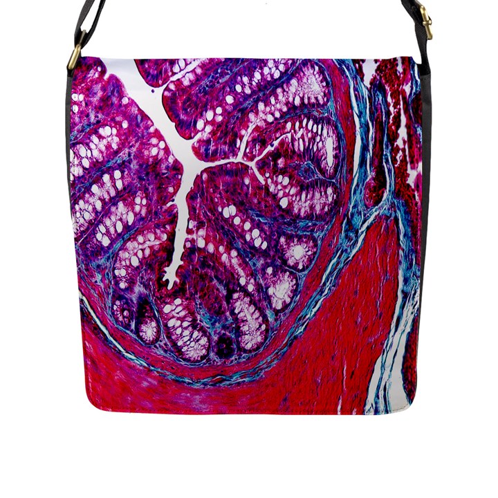 Histology Inc Histo Logistics Incorporated Masson s Trichrome Three Colour Staining Flap Messenger Bag (L) 