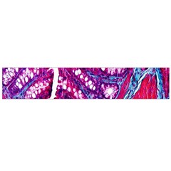 Histology Inc Histo Logistics Incorporated Masson s Trichrome Three Colour Staining Flano Scarf (large) by Mariart