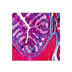 Histology Inc Histo Logistics Incorporated Masson s Trichrome Three Colour Staining Satin Bandana Scarf