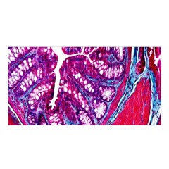 Histology Inc Histo Logistics Incorporated Masson s Trichrome Three Colour Staining Satin Shawl