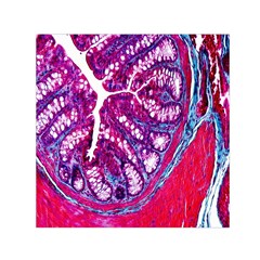 Histology Inc Histo Logistics Incorporated Masson s Trichrome Three Colour Staining Small Satin Scarf (square) by Mariart