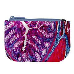 Histology Inc Histo Logistics Incorporated Masson s Trichrome Three Colour Staining Large Coin Purse by Mariart