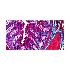 Histology Inc Histo Logistics Incorporated Masson s Trichrome Three Colour Staining Yoga Headband