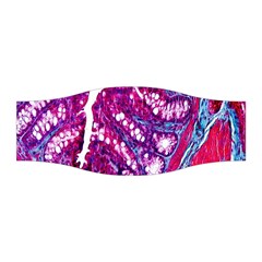 Histology Inc Histo Logistics Incorporated Masson s Trichrome Three Colour Staining Stretchable Headband by Mariart