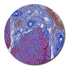 Histology Inc Histo Logistics Incorporated Human Liver Rhodanine Stain Copper Round Mousepads by Mariart