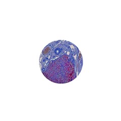 Histology Inc Histo Logistics Incorporated Human Liver Rhodanine Stain Copper 1  Mini Magnets by Mariart