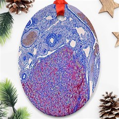 Histology Inc Histo Logistics Incorporated Human Liver Rhodanine Stain Copper Ornament (oval)