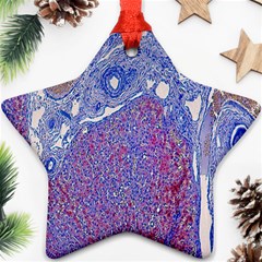 Histology Inc Histo Logistics Incorporated Human Liver Rhodanine Stain Copper Ornament (star) by Mariart