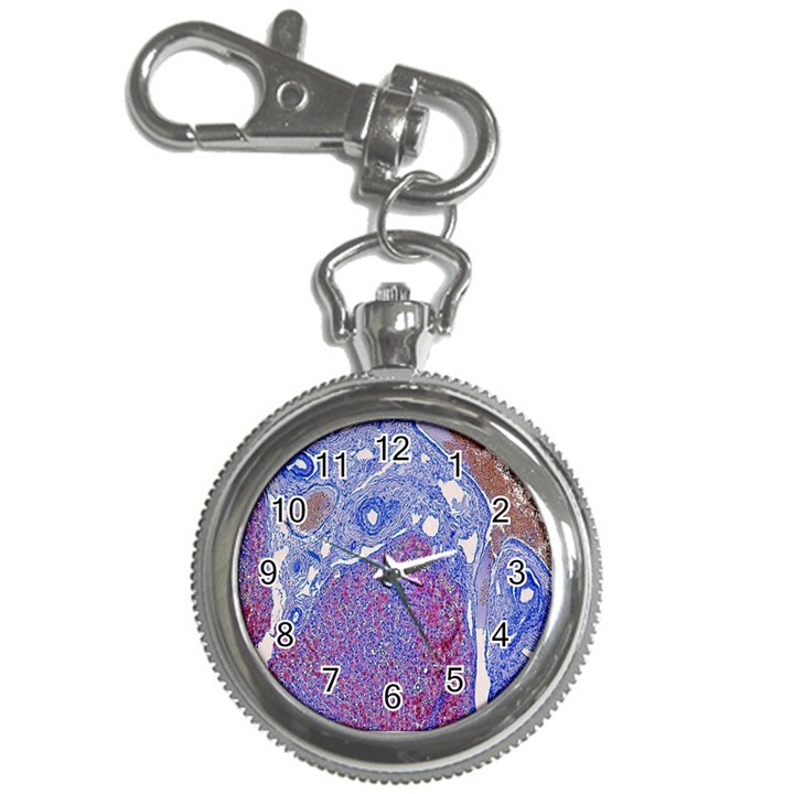 Histology Inc Histo Logistics Incorporated Human Liver Rhodanine Stain Copper Key Chain Watches