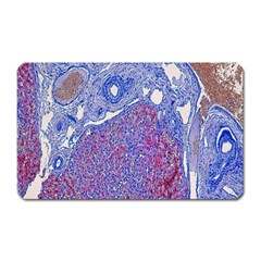 Histology Inc Histo Logistics Incorporated Human Liver Rhodanine Stain Copper Magnet (rectangular) by Mariart