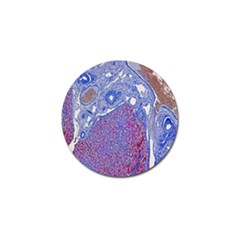 Histology Inc Histo Logistics Incorporated Human Liver Rhodanine Stain Copper Golf Ball Marker by Mariart