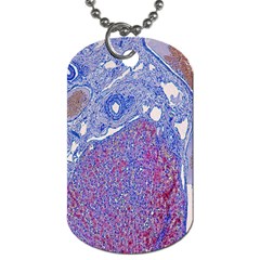 Histology Inc Histo Logistics Incorporated Human Liver Rhodanine Stain Copper Dog Tag (two Sides)