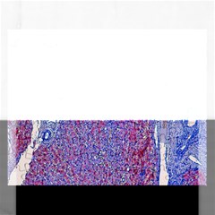 Histology Inc Histo Logistics Incorporated Human Liver Rhodanine Stain Copper Rectangular Jigsaw Puzzl by Mariart