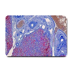 Histology Inc Histo Logistics Incorporated Human Liver Rhodanine Stain Copper Small Doormat  by Mariart