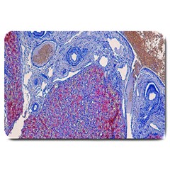 Histology Inc Histo Logistics Incorporated Human Liver Rhodanine Stain Copper Large Doormat  by Mariart