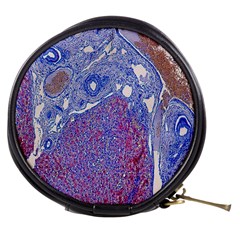 Histology Inc Histo Logistics Incorporated Human Liver Rhodanine Stain Copper Mini Makeup Bags by Mariart