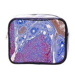 Histology Inc Histo Logistics Incorporated Human Liver Rhodanine Stain Copper Mini Toiletries Bags by Mariart