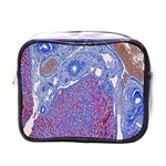 Histology Inc Histo Logistics Incorporated Human Liver Rhodanine Stain Copper Mini Toiletries Bags Front