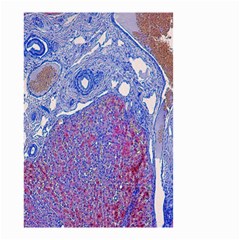 Histology Inc Histo Logistics Incorporated Human Liver Rhodanine Stain Copper Small Garden Flag (two Sides) by Mariart