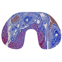 Histology Inc Histo Logistics Incorporated Human Liver Rhodanine Stain Copper Travel Neck Pillows by Mariart