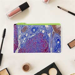 Histology Inc Histo Logistics Incorporated Human Liver Rhodanine Stain Copper Cosmetic Bag (xs)