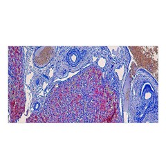 Histology Inc Histo Logistics Incorporated Human Liver Rhodanine Stain Copper Satin Shawl by Mariart