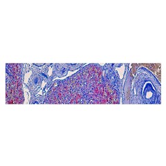 Histology Inc Histo Logistics Incorporated Human Liver Rhodanine Stain Copper Satin Scarf (oblong) by Mariart