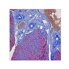 Histology Inc Histo Logistics Incorporated Human Liver Rhodanine Stain Copper Small Satin Scarf (square) by Mariart