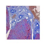 Histology Inc Histo Logistics Incorporated Human Liver Rhodanine Stain Copper Small Satin Scarf (Square) Front