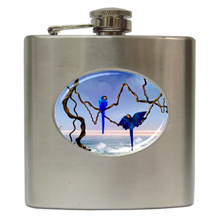 Wonderful Blue  Parrot Looking To The Ocean Hip Flask (6 oz)