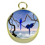 Wonderful Blue  Parrot Looking To The Ocean Gold Compasses Front