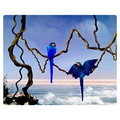 Wonderful Blue  Parrot Looking To The Ocean Double Sided Flano Blanket (medium)  by FantasyWorld7