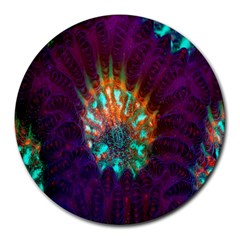 Live Green Brain Goniastrea Underwater Corals Consist Small Round Mousepads by Mariart