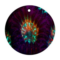 Live Green Brain Goniastrea Underwater Corals Consist Small Ornament (round)