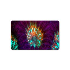 Live Green Brain Goniastrea Underwater Corals Consist Small Magnet (name Card) by Mariart