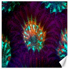 Live Green Brain Goniastrea Underwater Corals Consist Small Canvas 20  X 20   by Mariart