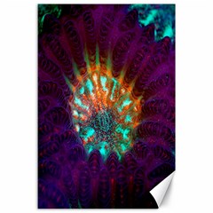 Live Green Brain Goniastrea Underwater Corals Consist Small Canvas 24  X 36 