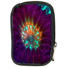 Live Green Brain Goniastrea Underwater Corals Consist Small Compact Camera Cases