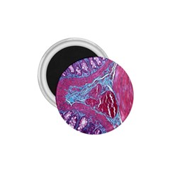 Natural Stone Red Blue Space Explore Medical Illustration Alternative 1 75  Magnets