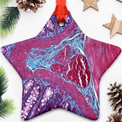 Natural Stone Red Blue Space Explore Medical Illustration Alternative Ornament (star)